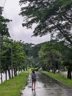 A boy walks barefoot on a rainy, tree-lined path using large leaves as an umbrella beside a flooded area.